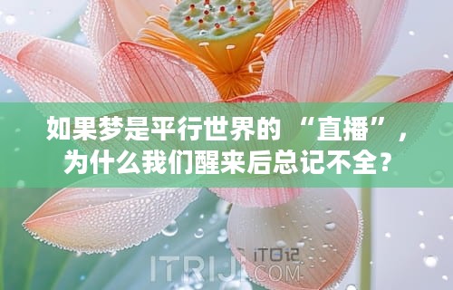 如果梦是平行世界的 “直播”，为什么我们醒来后总记不全？