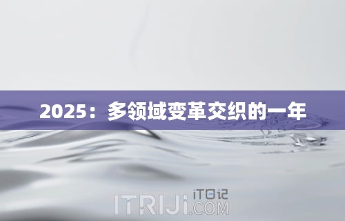 2025：多领域变革交织的一年