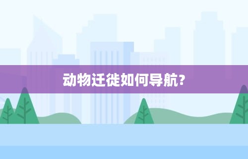 动物迁徙如何导航？