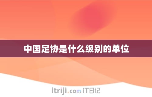 中国足协是什么级别的单位-第1张图片-iT日记