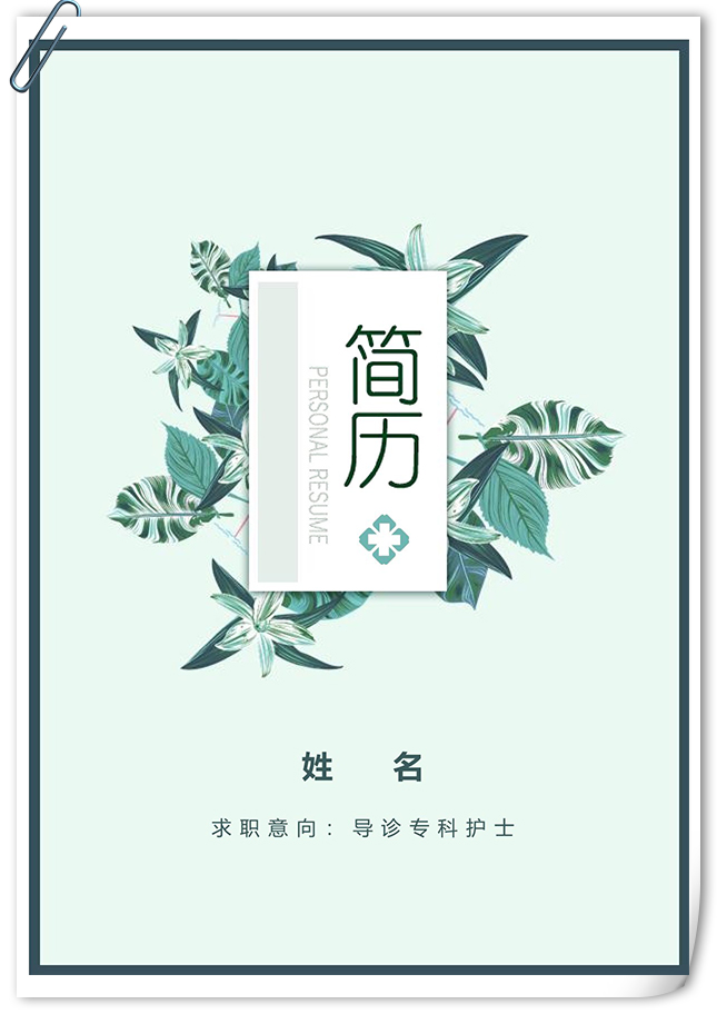 小清新导诊专科护士个人简历套装-第3张图片-iT日记 -  ITDiary