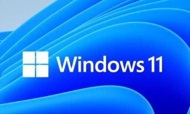 Windows11系统选型的核心要点及硬件限制指南
